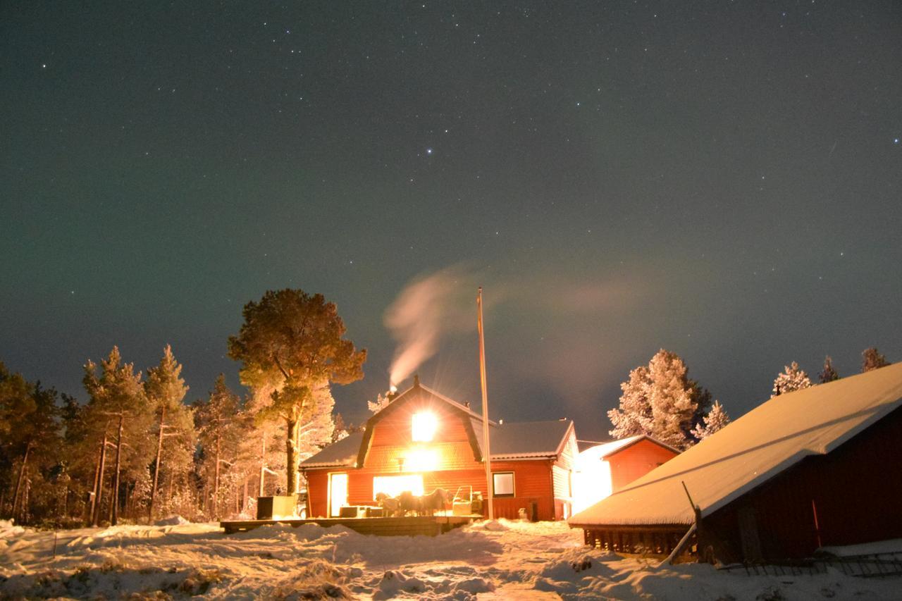 Camp Caroli Wooden Cabins Jukkasjärvi Εξωτερικό φωτογραφία